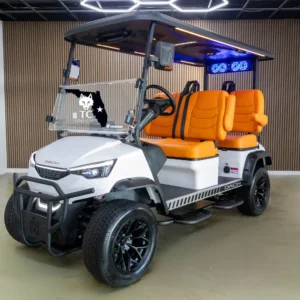 Dach Apollo golf cart 4 passenger electric Florida