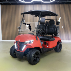 Greyson 2 passenger golf cart electric Florida
