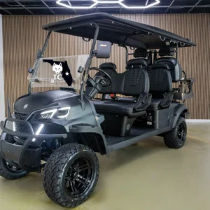 Greyson 6 seater golf cart lead acid lithium Florida