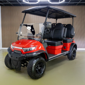 Greyson 4 seater golf cart forward facing lithium Florida