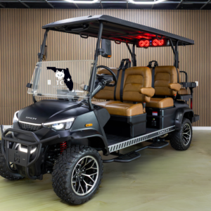 Dach Apollo 4+2 golf cart 6 passenger electric Florida